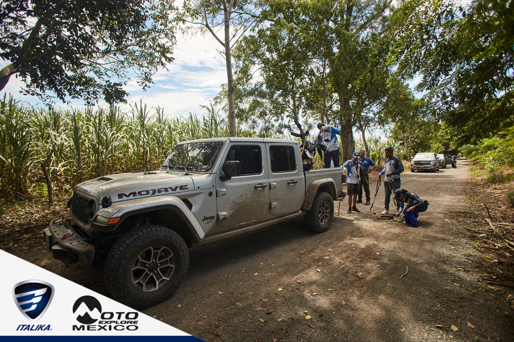 ITALIKA CHACHALACAS D2 181